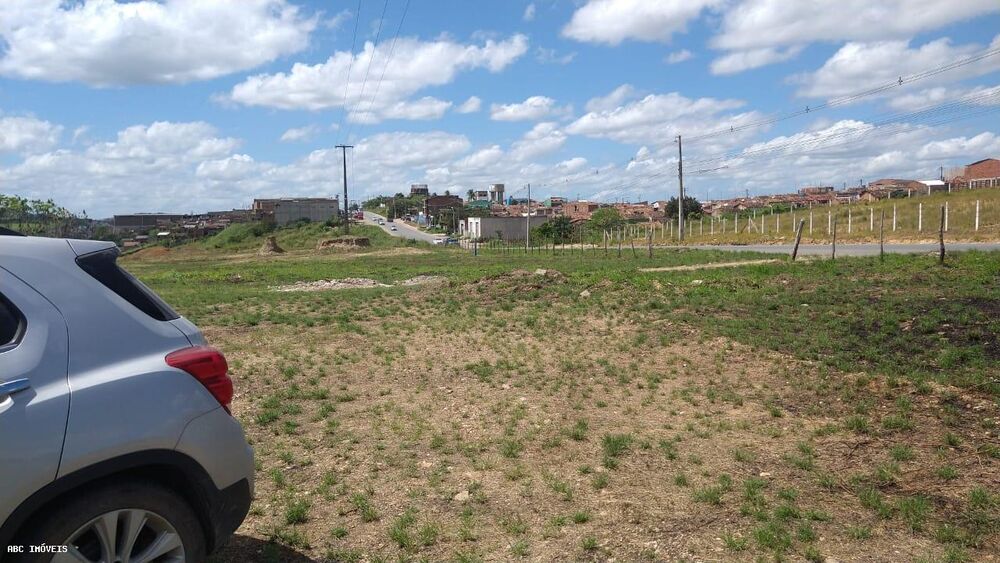 Terreno, 5 hectares - Foto 3
