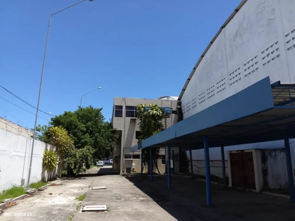 Depósito-Galpão, 5000 m² - Foto 3
