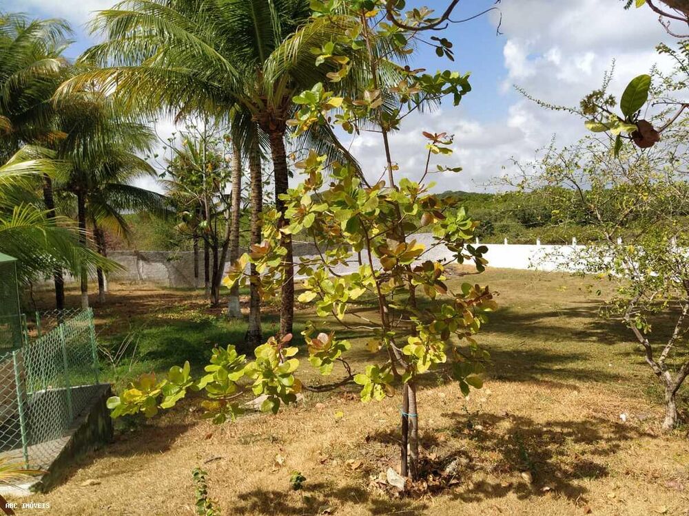 Casa, 5 quartos, 130 m² - Foto 6