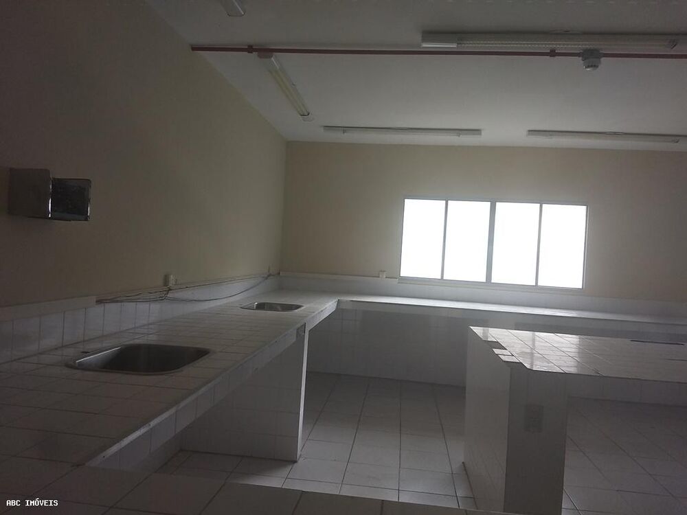 Depósito-Galpão-Armazém para alugar com 1 quarto, 20000m² - Foto 4
