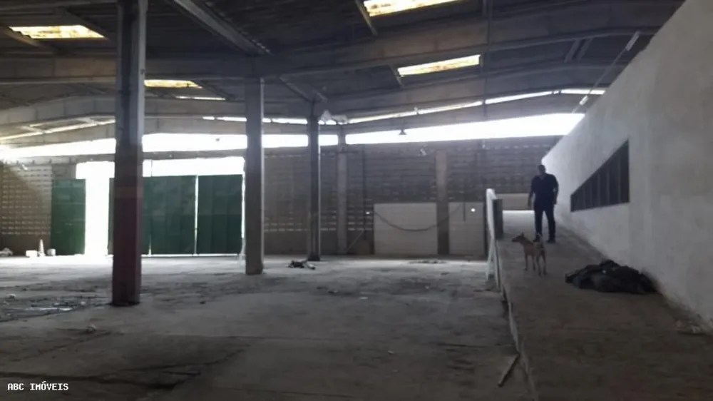 Depósito-Galpão, 5625 m² - Foto 15