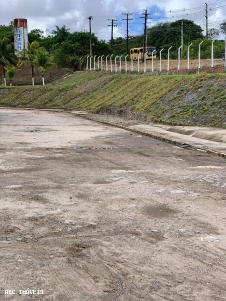 Depósito-Galpão, 5625 m² - Foto 13