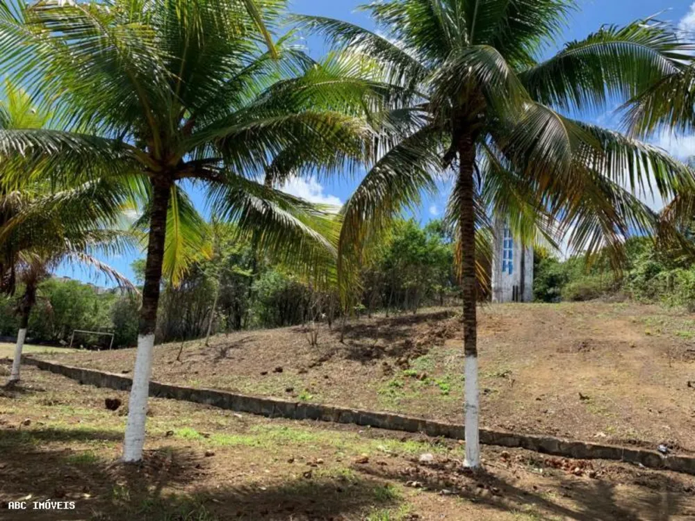 Depósito-Galpão, 5625 m² - Foto 3