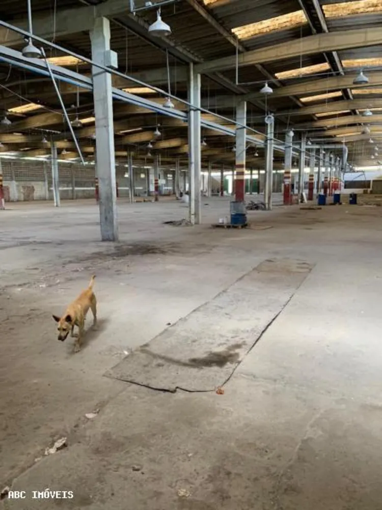 Depósito-Galpão, 5625 m² - Foto 7