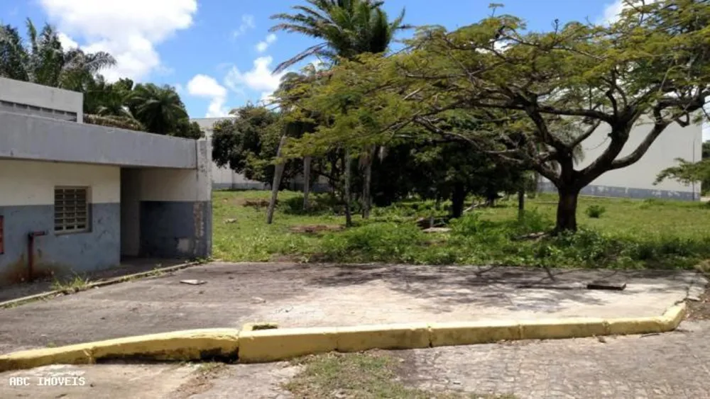 Depósito-Galpão, 10000 m² - Foto 4
