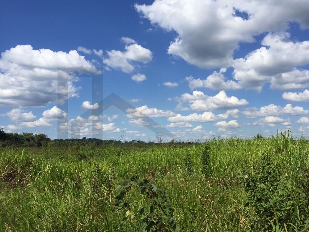 Fazenda, 400 m² - Foto 4
