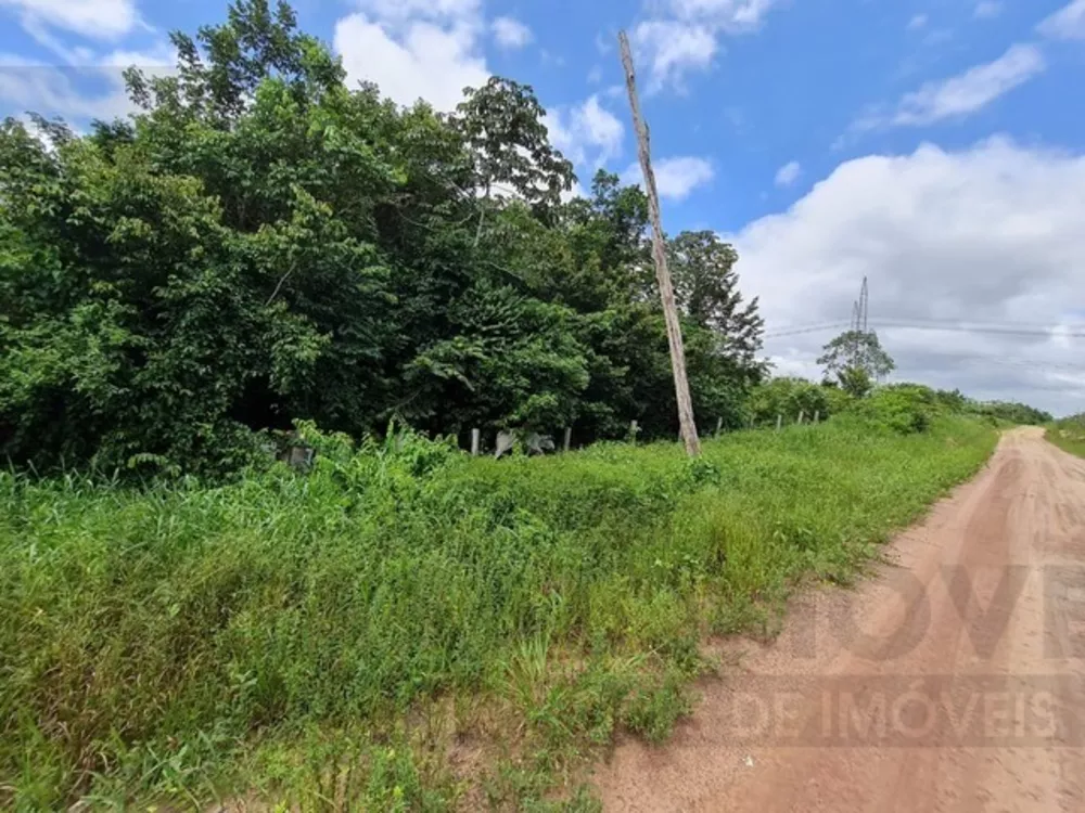 Haras e Área Rural Padrão à venda, 80m² - Foto 4