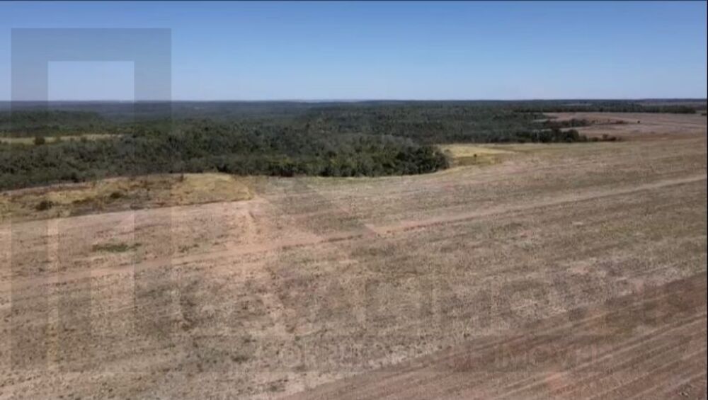 Fazenda, 2200 m² - Foto 4