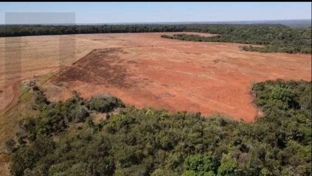 Fazenda, 2200 m² - Foto 2