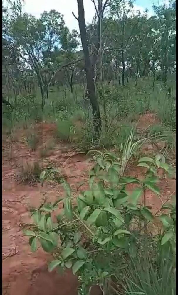 Fazenda à venda com 8 quartos, 2812m² - Foto 3