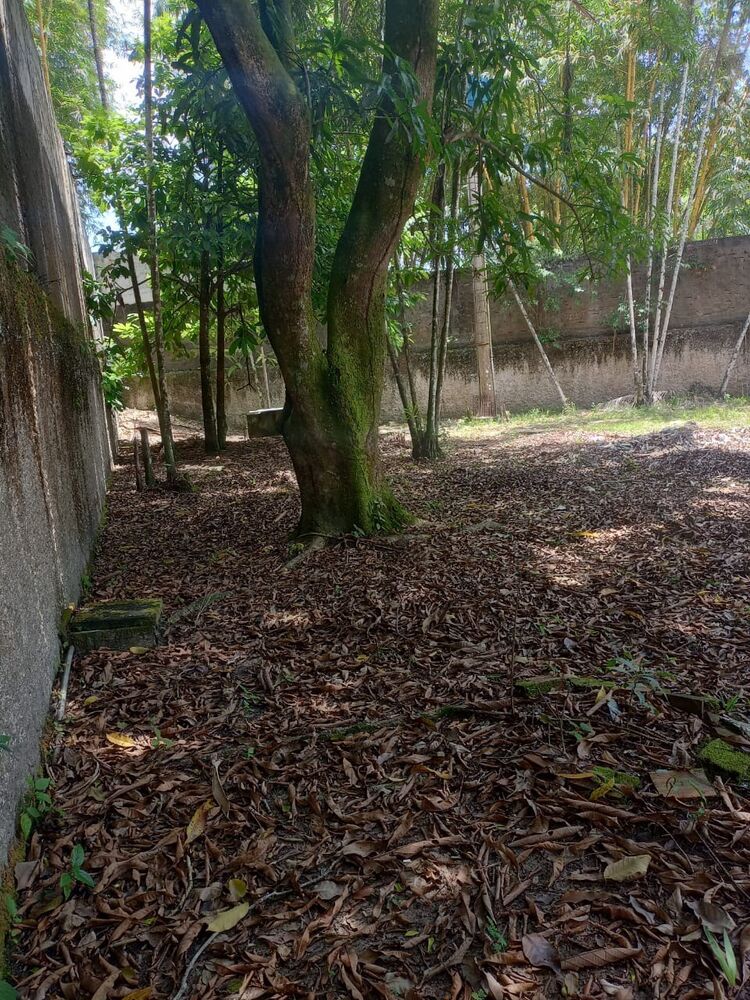 Terreno, 1500 m² - Foto 33