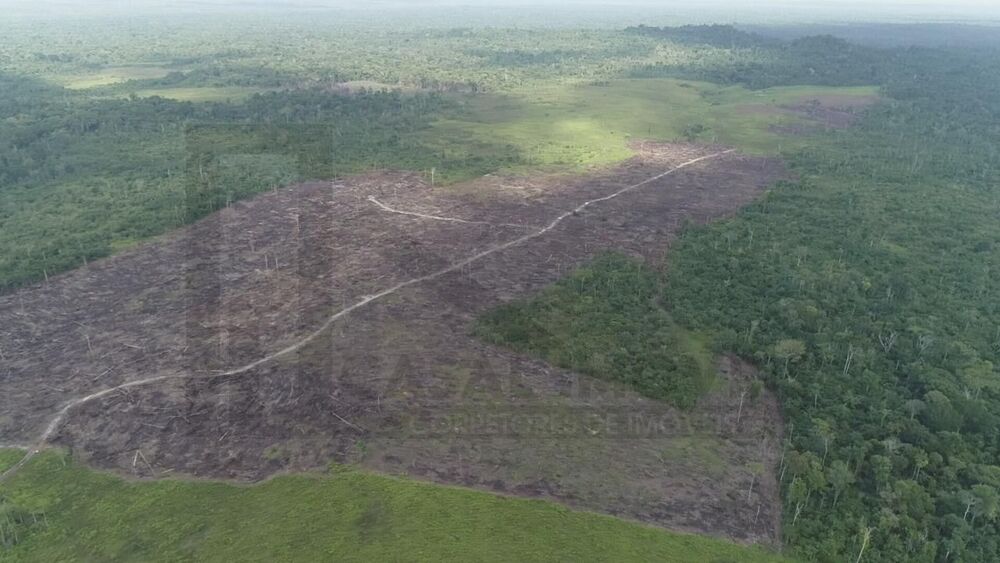 Fazenda, 500 m² - Foto 4
