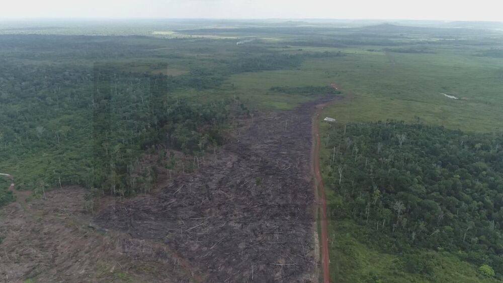 Fazenda, 500 m² - Foto 2