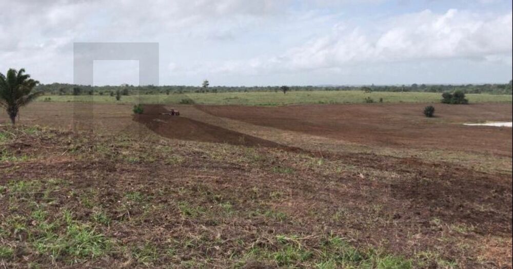 Fazenda à venda com 20 quartos, 3533m² - Foto 3
