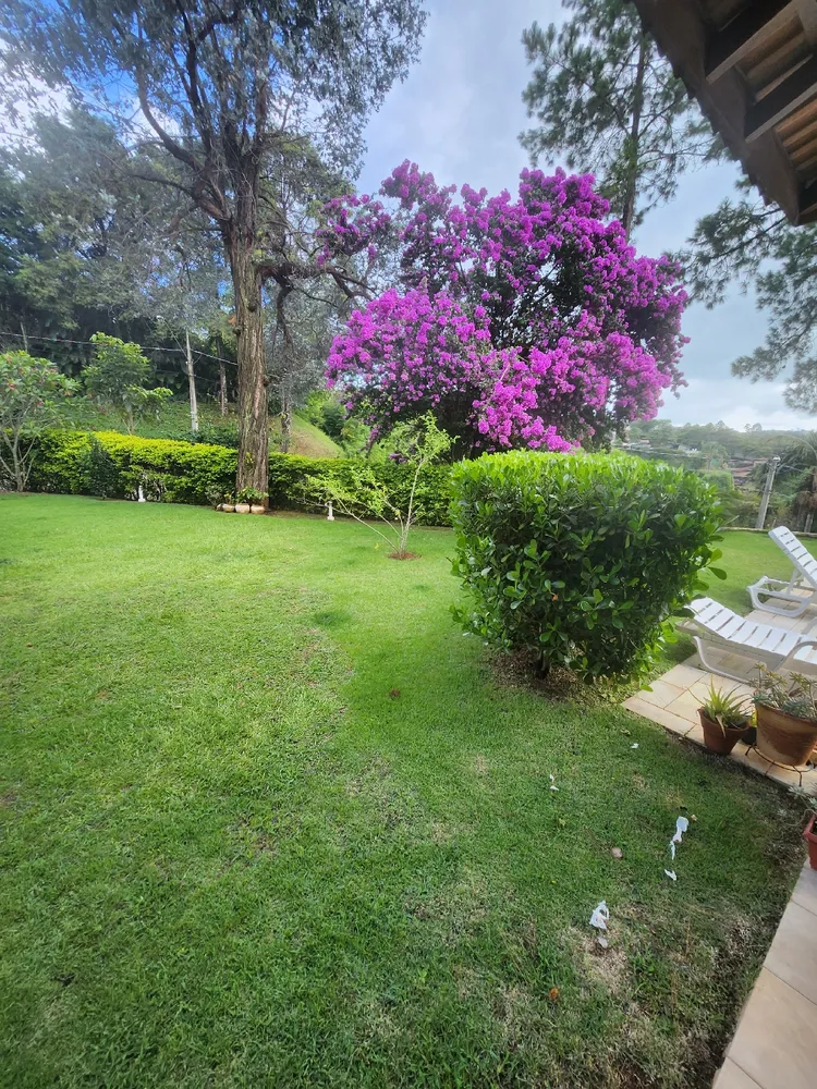 Apartamento, 6 quartos, 400 m² - Foto 3