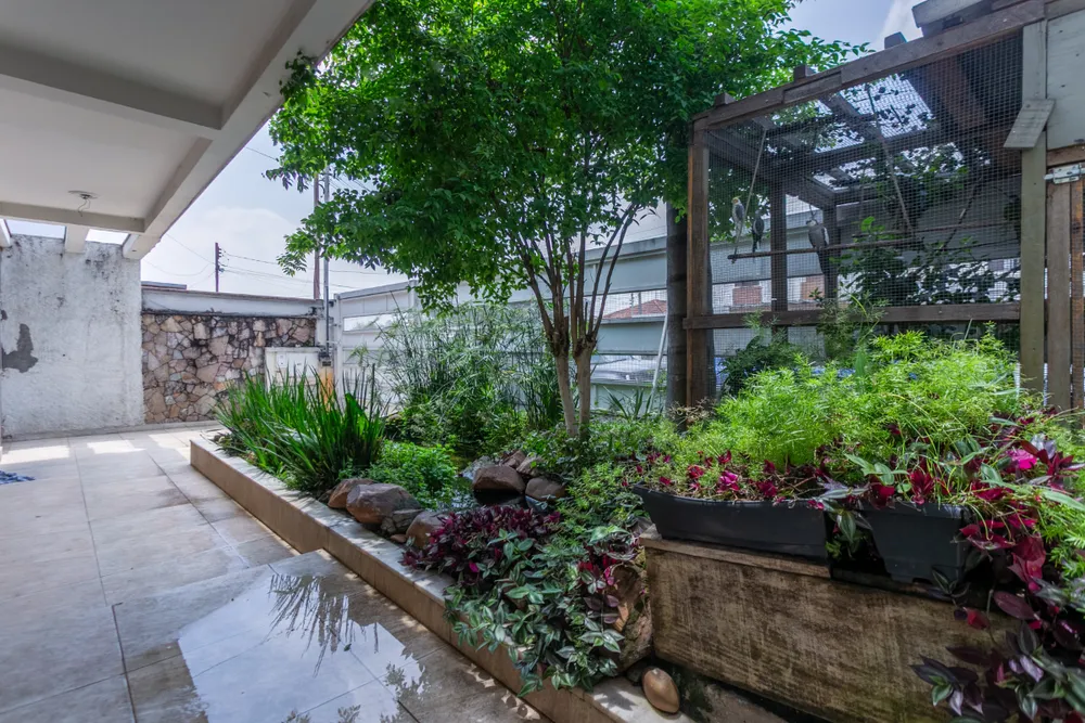 Casa, 3 quartos, 260 m² - Foto 1
