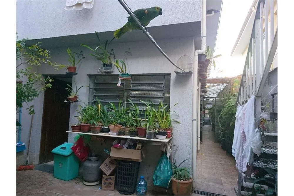 Casa, 4 quartos, 200 m² - Foto 7