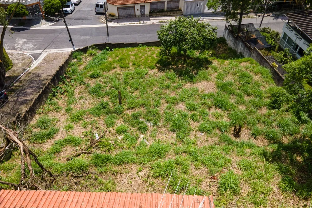Terreno - Foto 3