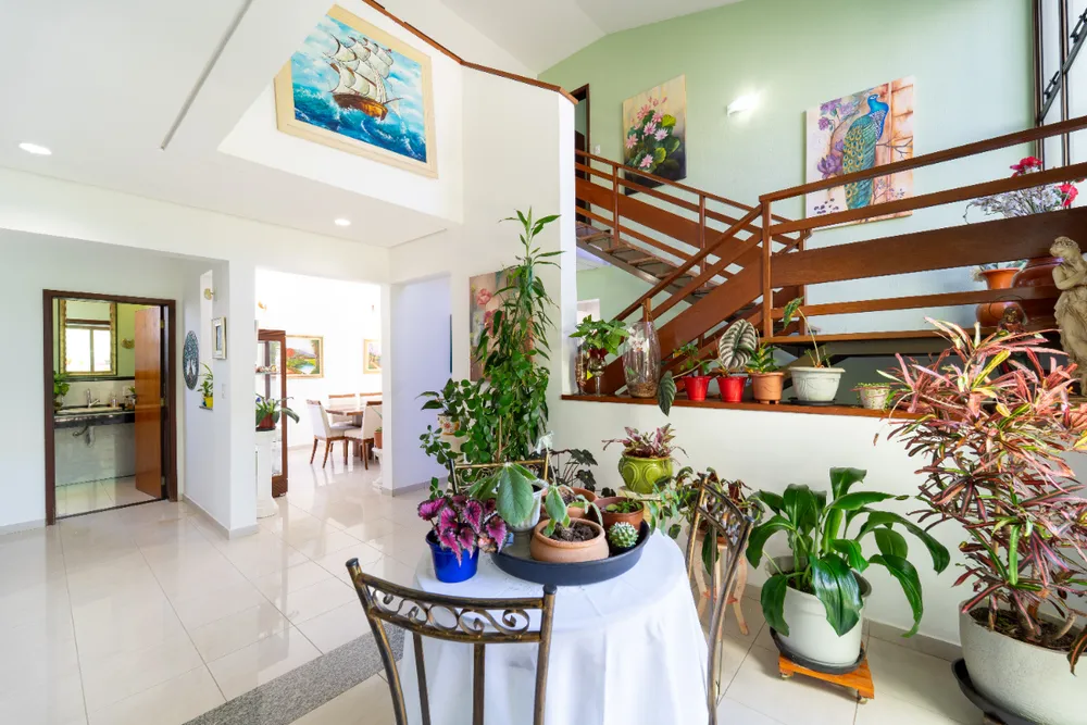 Casa, 4 quartos, 514 m² - Foto 5