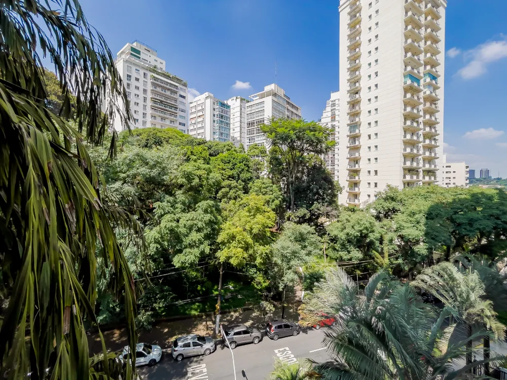 Apartamento, 3 quartos, 300 m² - Foto 3