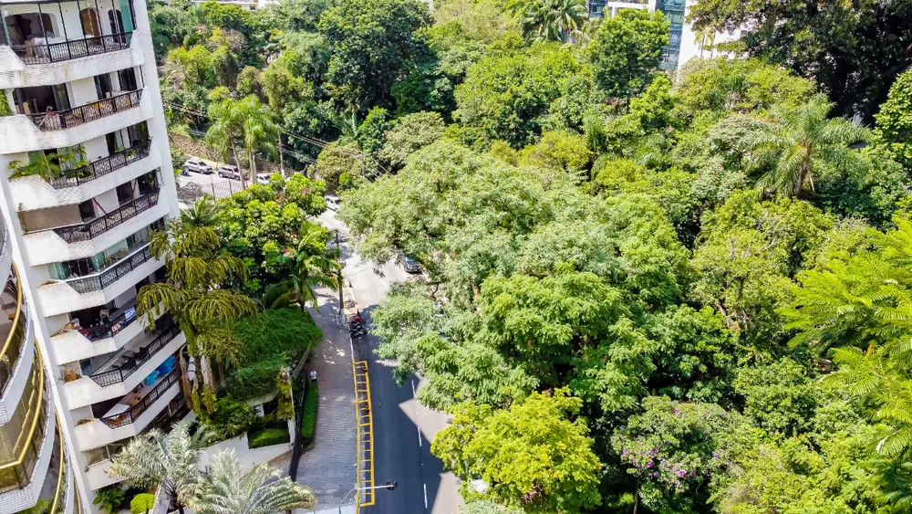 Apartamento, 3 quartos, 300 m² - Foto 9