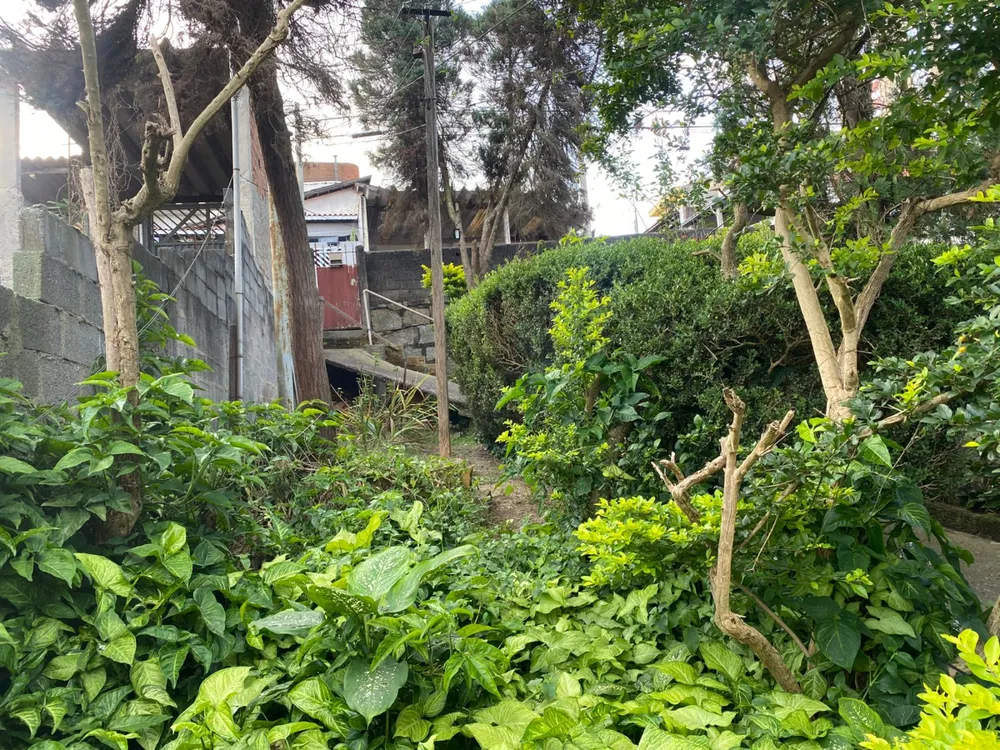 Terreno - Foto 8