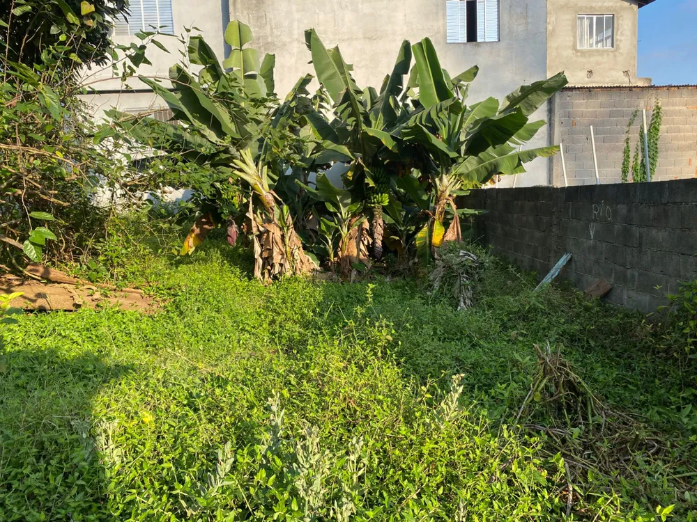 Terreno - Foto 12