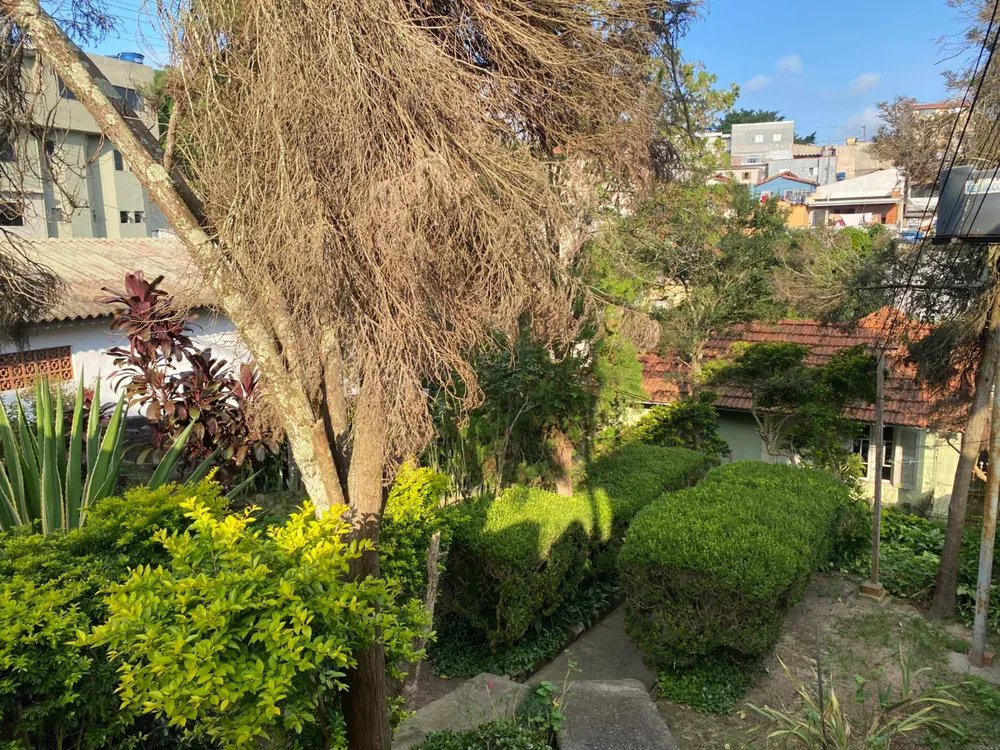 Terreno - Foto 5