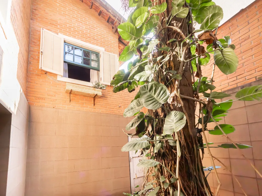 Casa, 4 quartos, 350 m² - Foto 3