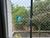 Apartamento, 2 quartos, 48 m² - Foto 6