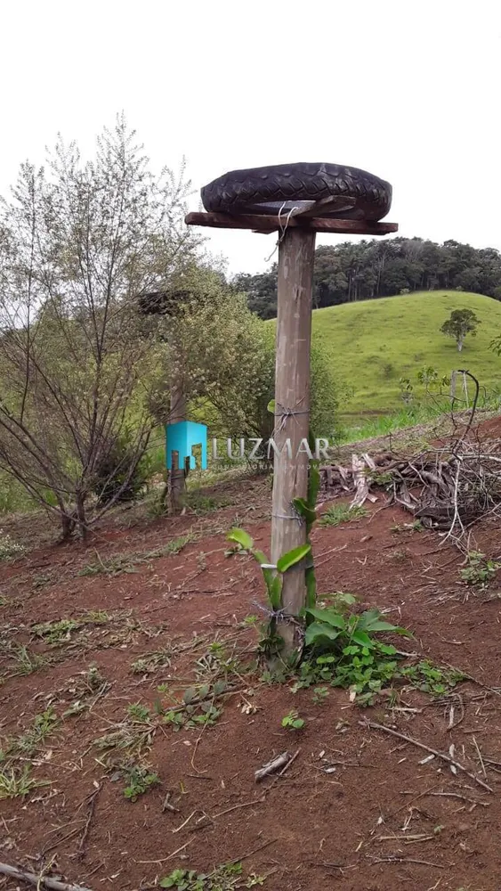 Sítio, 4 quartos, 3 hectares - Foto 16