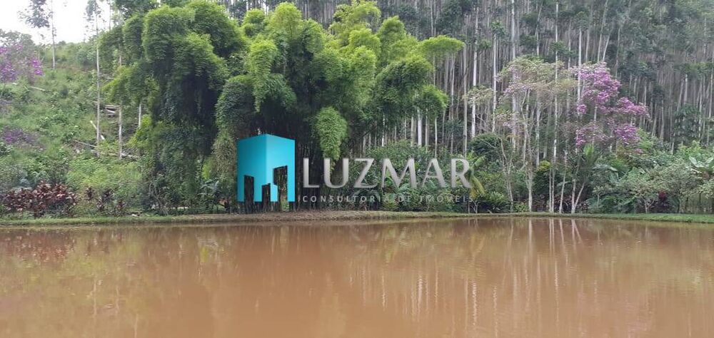 Sítio, 4 quartos, 3 hectares - Foto 3