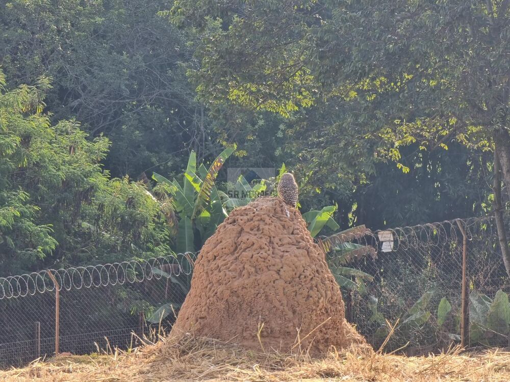 Terreno, 1085 m² - Foto 18