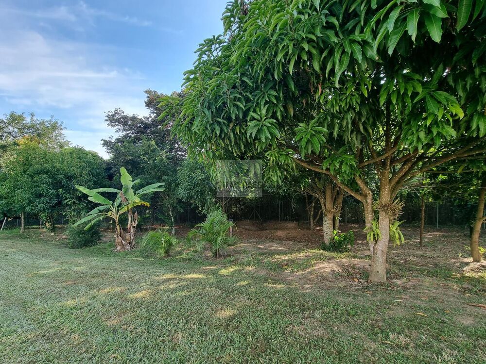 Terreno, 1085 m² - Foto 6