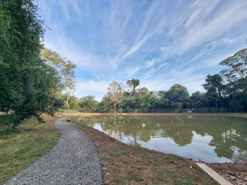 Terreno, 1085 m² - Foto 10