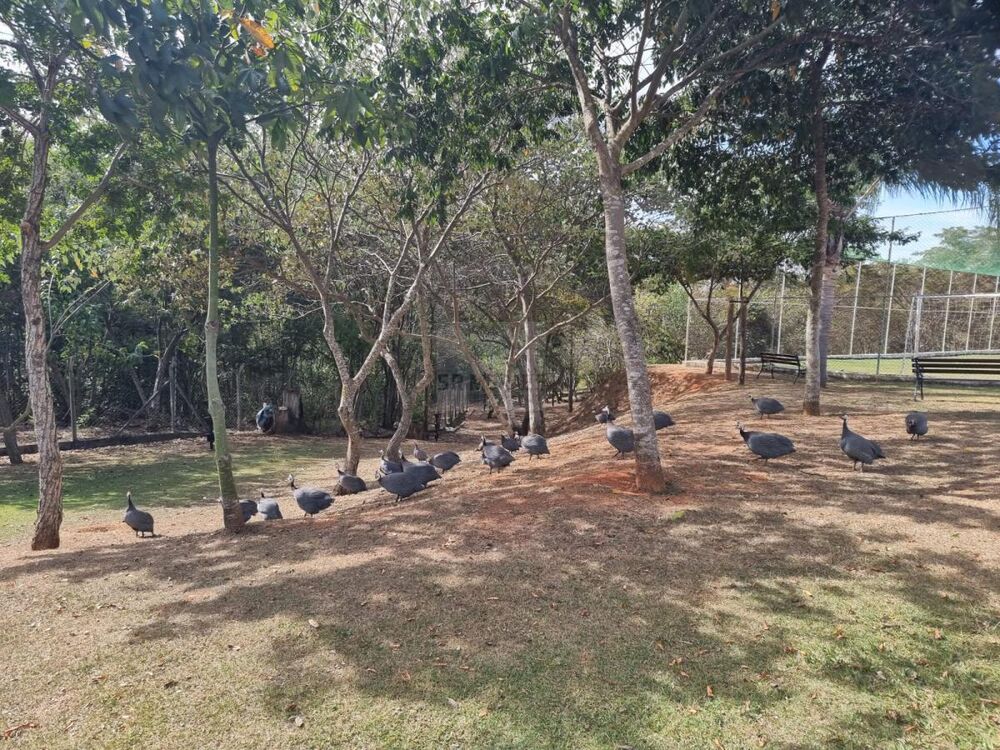 Casa de Condomínio à venda com 3 quartos, 183m² - Foto 26