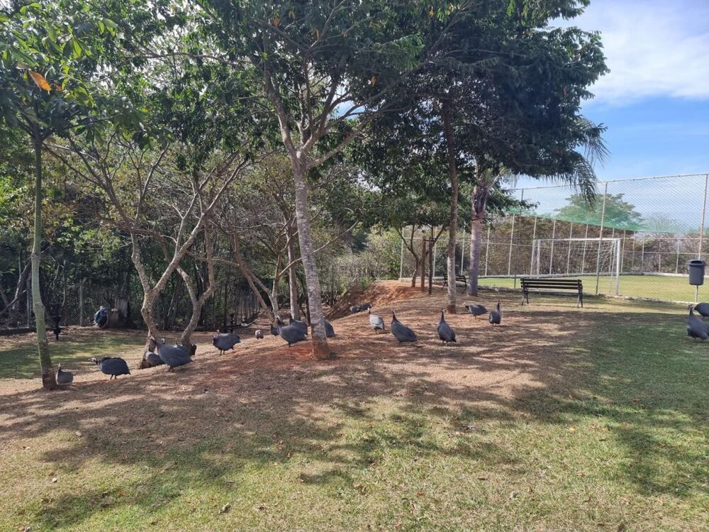 Casa de Condomínio à venda com 3 quartos, 183m² - Foto 3