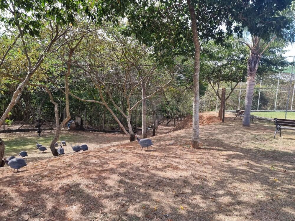 Casa de Condomínio à venda com 3 quartos, 183m² - Foto 21