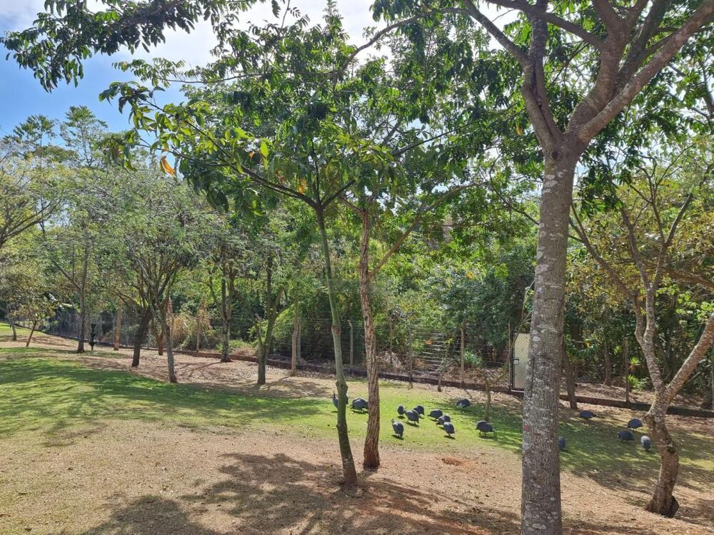 Casa de Condomínio à venda com 3 quartos, 183m² - Foto 27