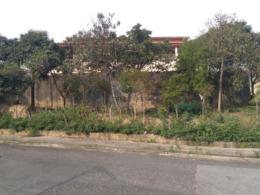 Terreno, 387 m² - Foto 3