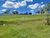 Terreno, 1000 m² - Foto 4