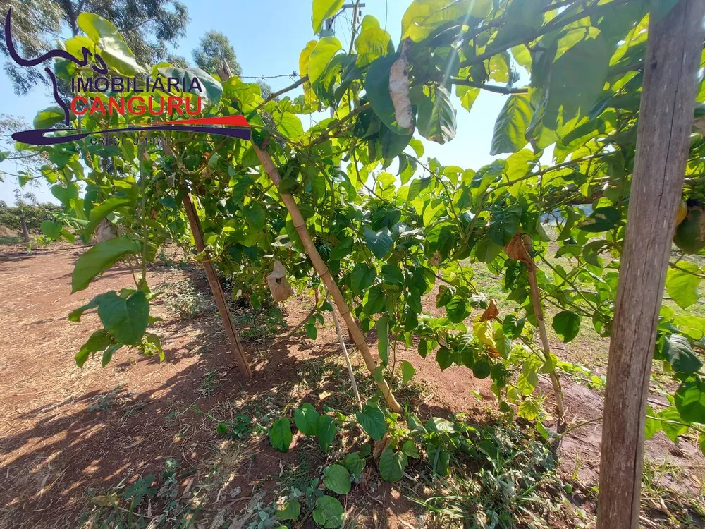 Chácara, 3 quartos, 5 hectares - Foto 12