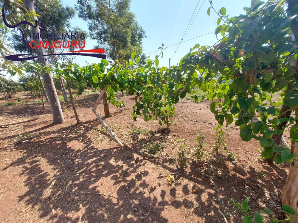 Chácara, 3 quartos, 5 hectares - Foto 14