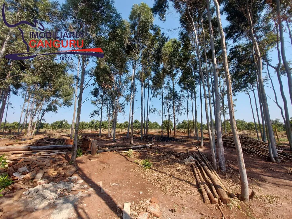 Chácara, 3 quartos, 5 hectares - Foto 15