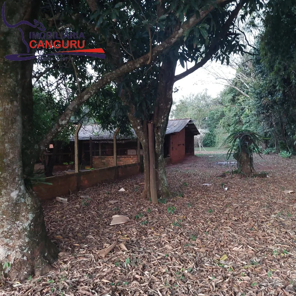 Sítio, 4 quartos, 7 hectares - Foto 10