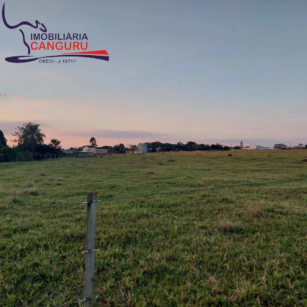 Sítio, 4 quartos, 7 hectares - Foto 4
