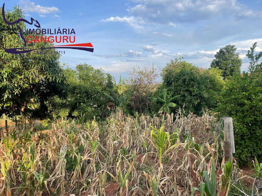 Terreno à venda, 1000m² - Foto 2