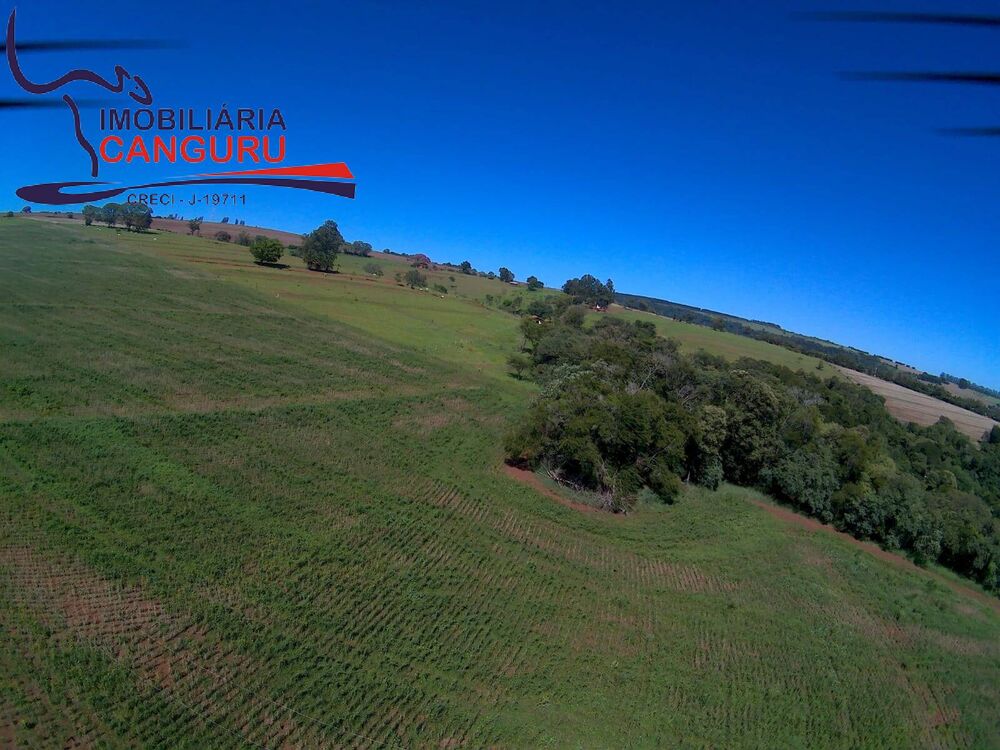 Terreno, 8 hectares - Foto 3