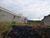Terreno, 280 m² - Foto 2