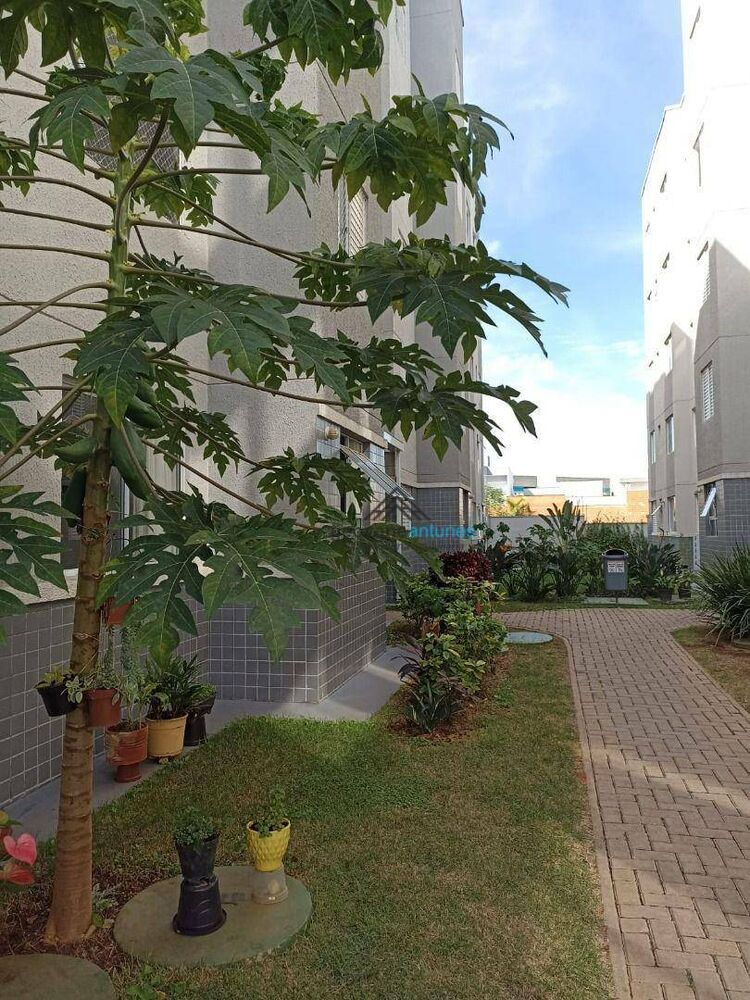 Apartamento à venda com 2 quartos, 41m² - Foto 11